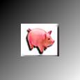 OINK!